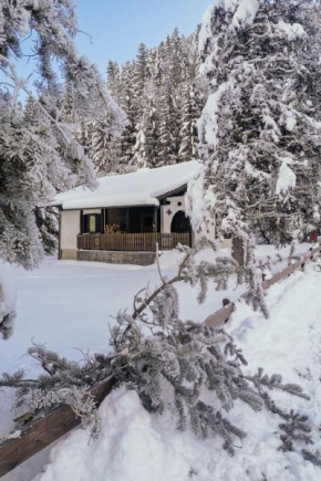 Chalet Chalet Bodental 28 by Interhome